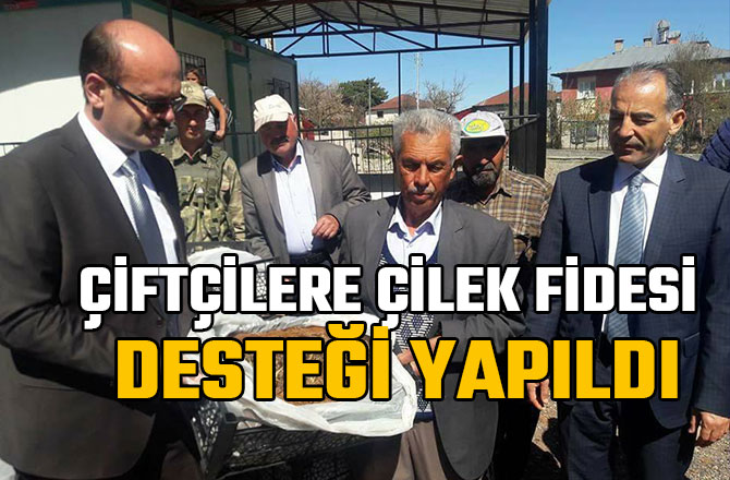 ÇİFTÇİLERE ÇİLEK FİDESİ DESTEĞİ YAPILDI