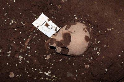 Kazıda 50’den fazla iskelete ulaşıldı