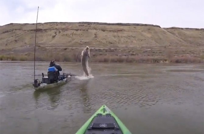 BALIKÇILAR NEYE UĞRADIĞINI ŞAŞIRDI