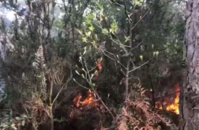 AYDOS ORMANLARINDA ÇIKAN YANGIN HAKKINDA AÇIKLAMA