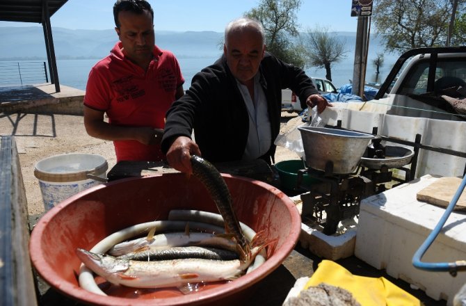 BALIKÇILAR TURNAYI GÖZÜNDEN VURDU
