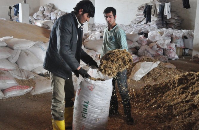 HAYVANLAR İÇİN SU KADAR ÖNEMLİ: ’MERMER TOZU’