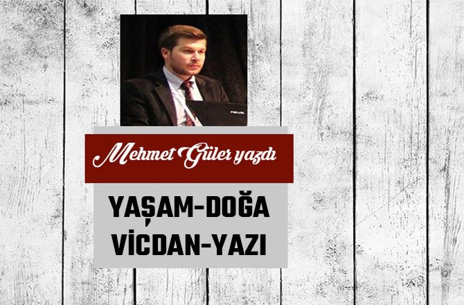 YAŞAM-DOĞA-VİCDAN-YAZI
