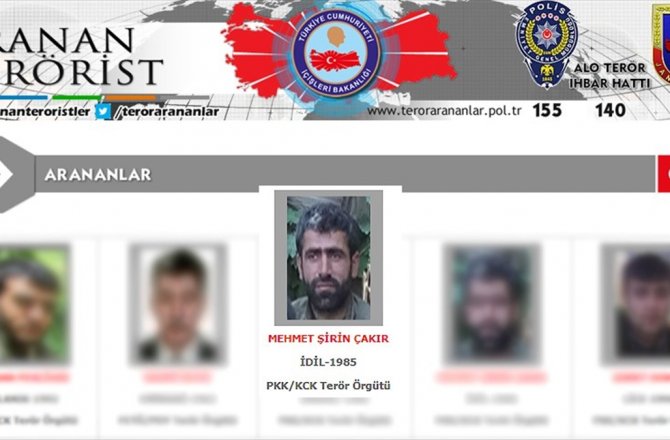 GRİ LİSTEDEKİ TERÖRİST ETKİSİZ HALE GETİRİLDİ