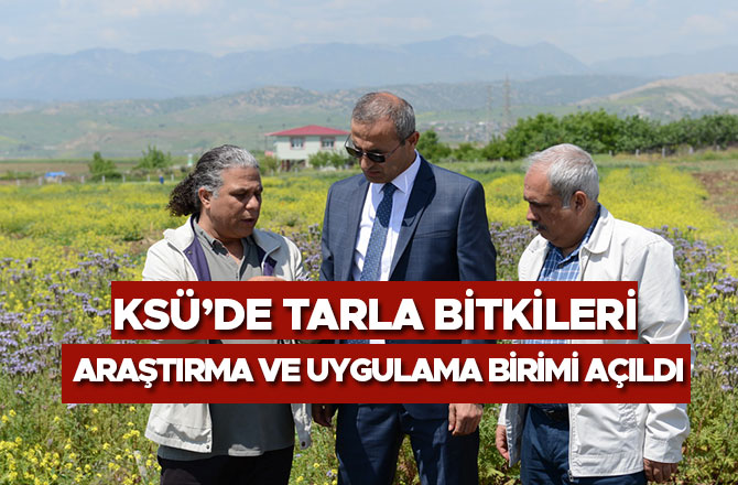 KSÜ’DE TARLA BİTKİLERİ ARAŞTIRMA VE UYGULAMA BİRİMİ AÇILDI