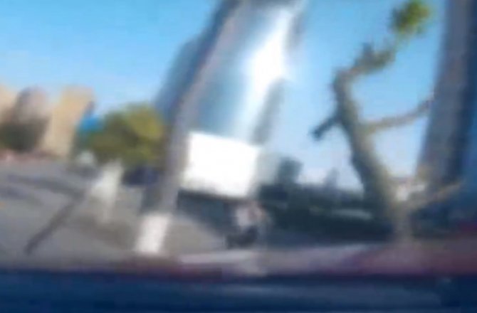 OTOMOBİLİN DEVİRDİĞİ AĞAÇ YAYAYI ÖLDÜRDÜ