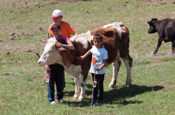 SÜRÜLER KÜÇÜK ÇOBANLARA EMANET
