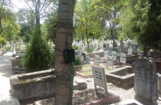 GİZEMLİ KIZ İÇİN FOTOKAPAN KURULDU