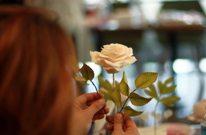 BU ÇİÇEKLER YENİLEBİLİYOR