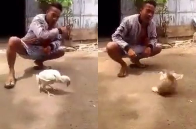 DÜNYANIN EN YETENEKLİ TAVUĞU