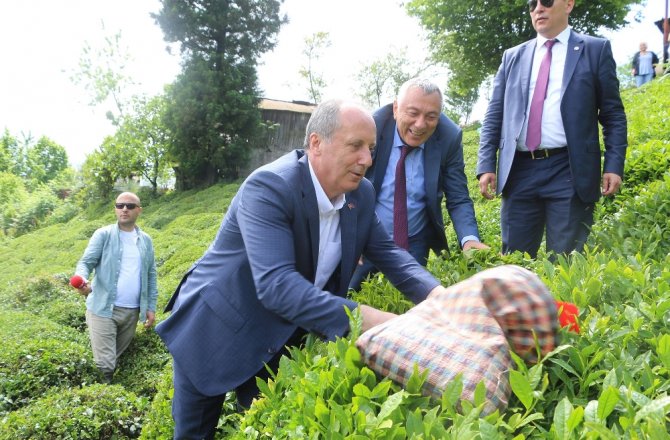 MUHARREM İNCE ÇAY TOPLADI