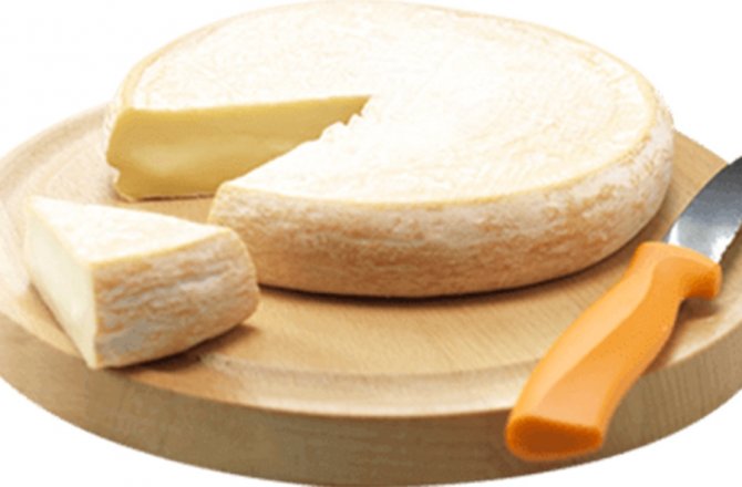 ‘FRANSIZ PEYNİRİ’ 7 ÇOCUĞU ZEHİRLEDİ