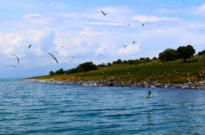 ADIR ADASI EŞSİZ DOKUSUYLA BÜYÜLÜYOR
