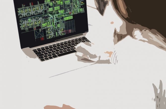 327 SOSYAL MEDYA HESABI İNCELENDİ