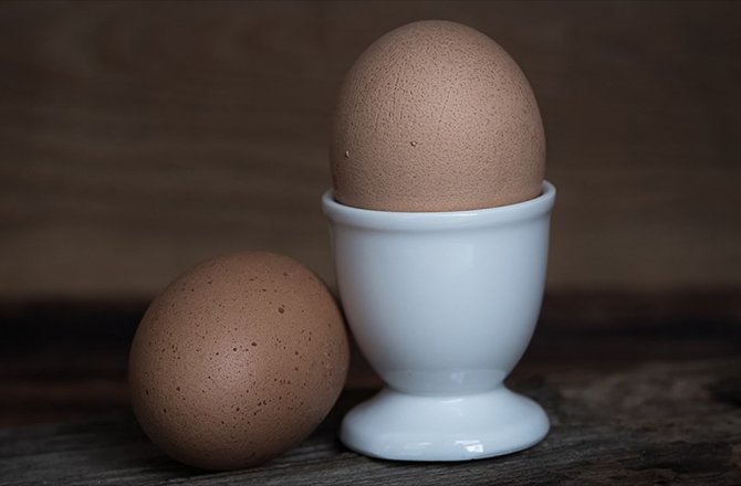 YUMURTA GİREN EVE DOKTOR GİRMİYOR