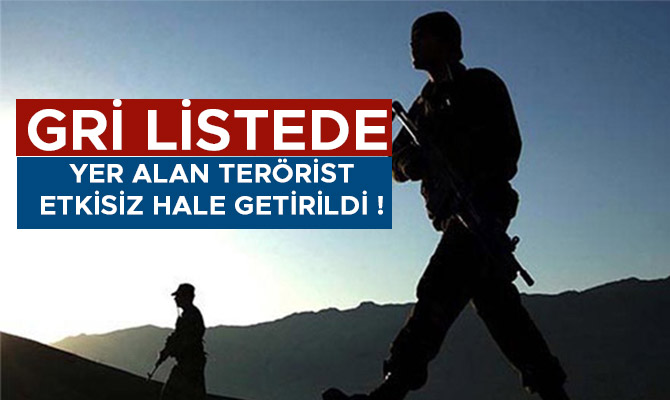 GRİ LİSTEDE YER ALAN TERÖRİST ETKİSİZ HALE GETİRİLDİ !