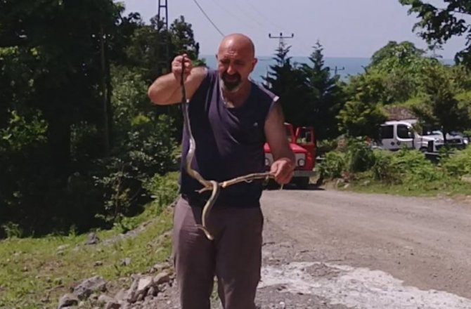 YOLUNA ÇIKAN YILANI KURTARMAK İÇİN HER ŞEYİ YAPTI