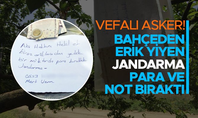 BAHÇEDEN ERİK YİYEN JANDARMA PARA VE NOT BIRAKTI