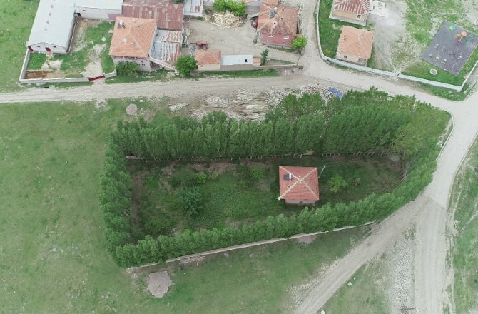 EVİ ÇEVRELEYEN AĞAÇLAR KALE SURU GİBİ