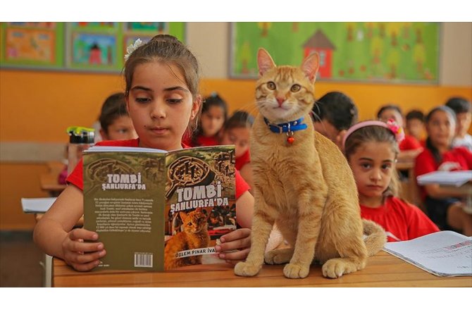 Öğrencilerin sevgilisi 'Tombi' kitap kahramanı oldu