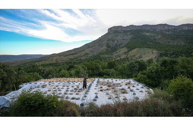 Dağlar teröristlerden temizlendi Şemdinli huzura kavuştu