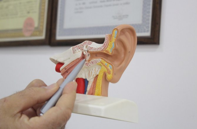 ‘KULAK KİREÇLENMESİ’ İŞİTME KAYBINA YOL AÇABİLİYOR