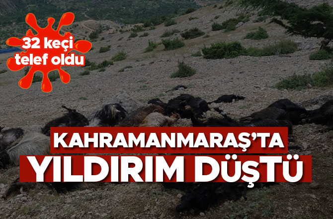 KAHRAMANMARAŞ’TA YILDIRIM DÜŞTÜ: 32 KEÇİ TELEF OLDU