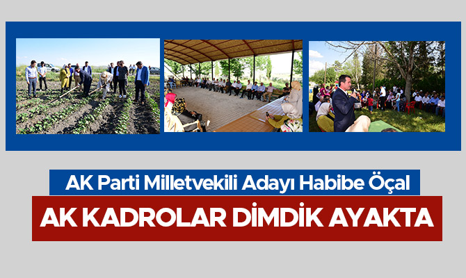 ÖÇAL, AK KADROLAR DİMDİK AYAKTA