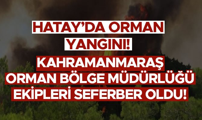 HATAY’DA ORMAN YANGINI!