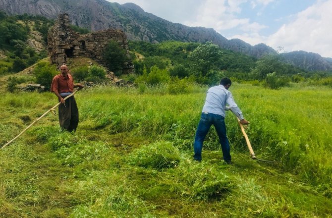 TERÖR YÜZÜNDEN EKİLEMEYEN ARAZİLER YEŞİLLENDİ