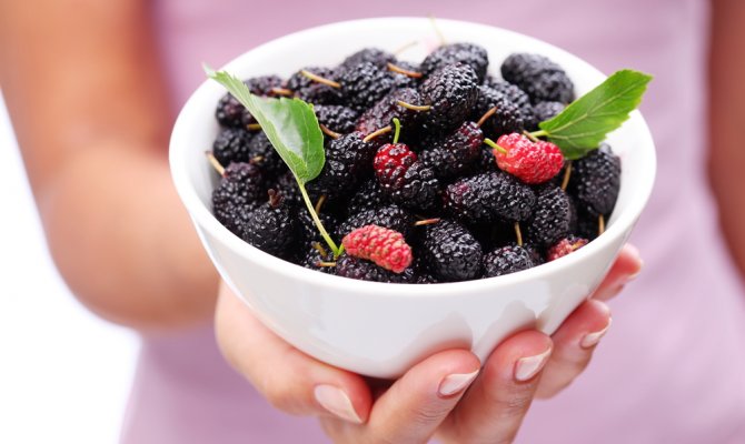 1 Çay Bardağı Dutla Gelen 10 Fayda!