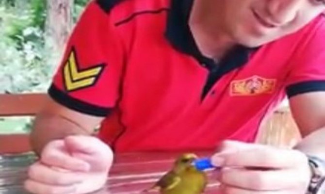 İtfaiye eri susayan kuşa şişe kapağından su içirdi