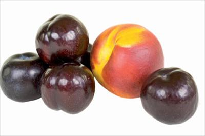 Japon eriği kalp dostu