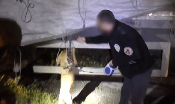 Torbacılara darbe klip oldu