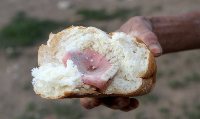 Ekmeğin içinden çıktı !