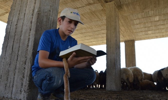 Çobanın kitap sevgisi