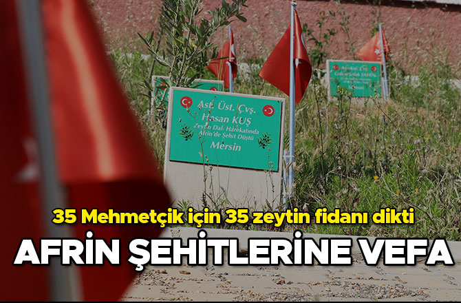 Afrin şehitlerine vefa    