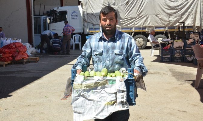 Elbistan kabağı Rus sofralarının vazgeçilmezi oldu