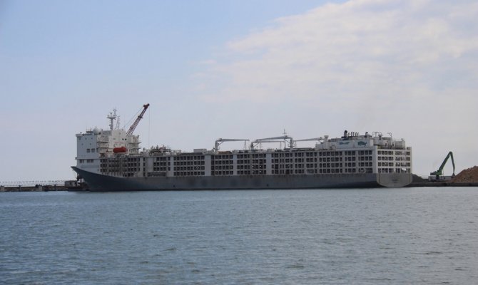 Angusların kokusu şehri etkisi altına aldı