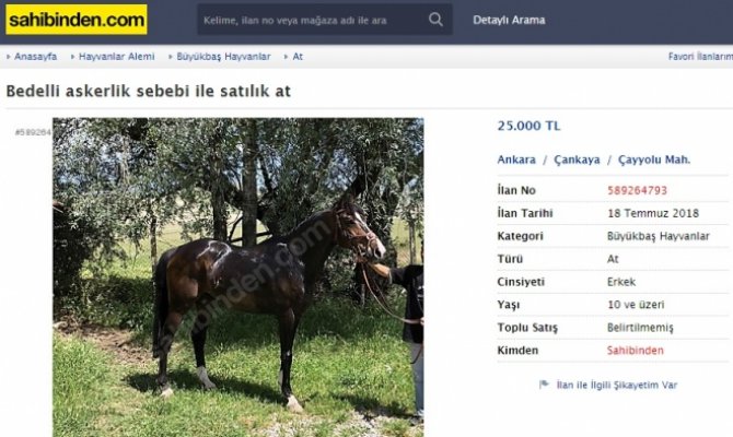 Bedelli askerlik tasarısı, at sattırıyor