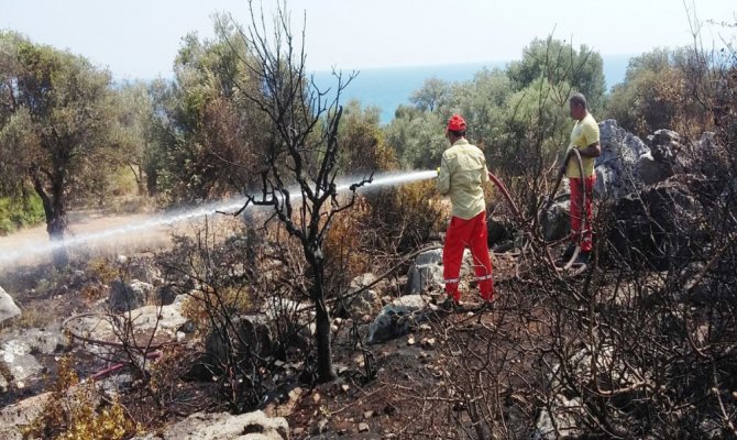 Antalya’da antik kent yakınında çıkan yangın korkuttu