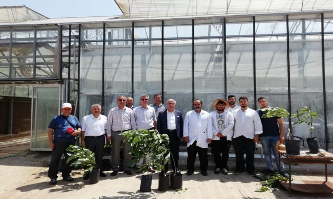Rektör Can, Ziraat Fakültesi Sera ve Uygulama Bahçelerinde İncelemelerde Bulundu