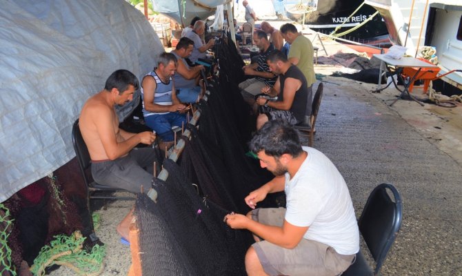 Balıkçılardan müjde: Denizde bu yıl balık çok