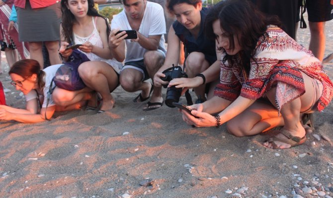 Caretta carettalar rekor kırdı