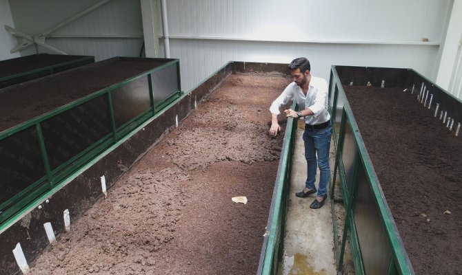 Solucan sevgisi iş sahibi yaptı