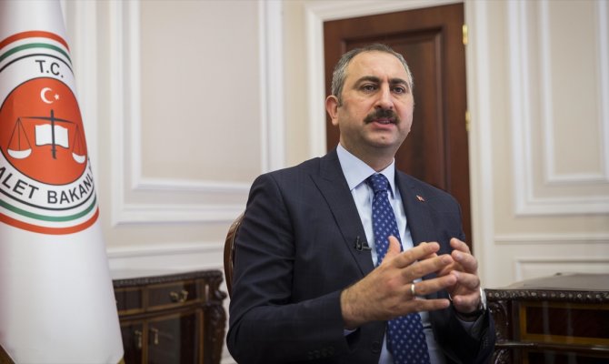 Gül'den hayvana karşı işlenen suçlarla ilgili düzenleme açıklaması