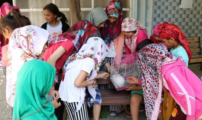 Kur’an öğrenmeye tavşanıyla geliyor