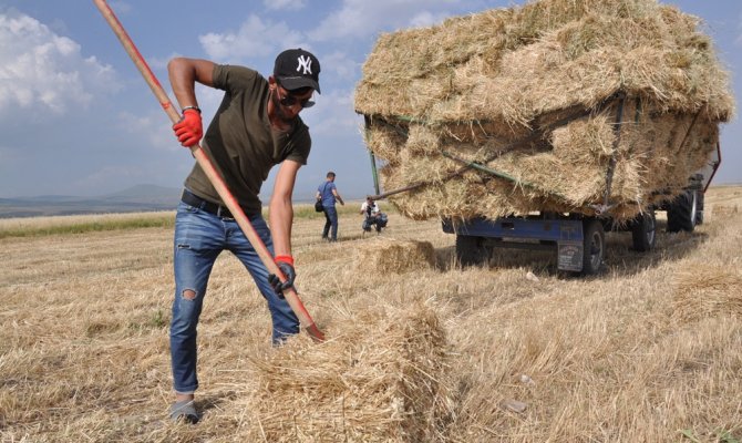 Sıcak havada çiftçilerin ot toplama mesaisi