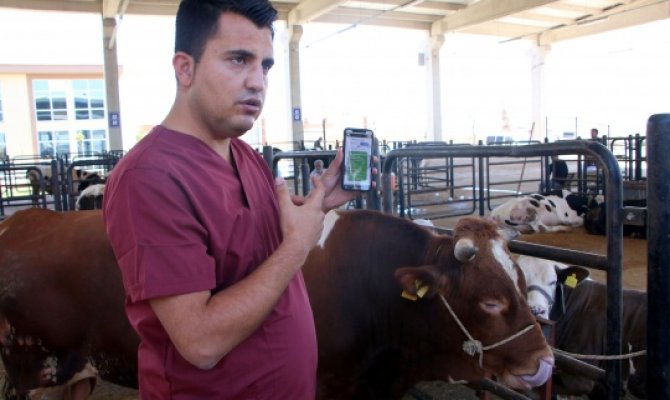 Kurbanlıkla ilgili tüm bilgi cepten öğrenebilinecek