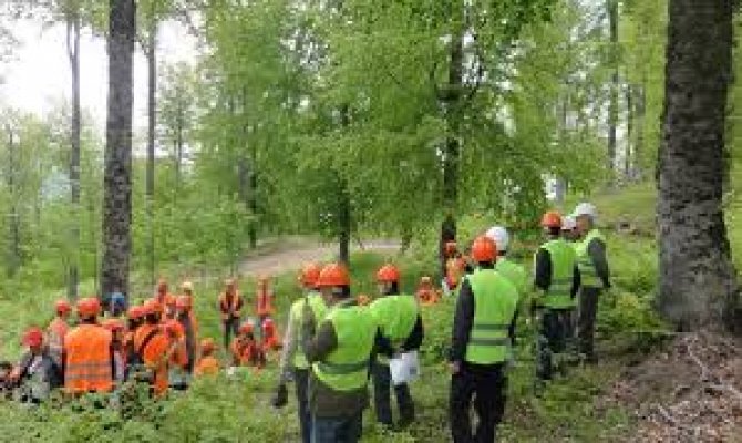 Orman Genel Müdürlüğü Orman mühendisi alacak